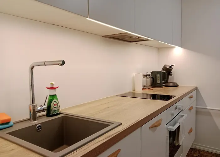 Center Raua With Balcony Apartment Tallinn